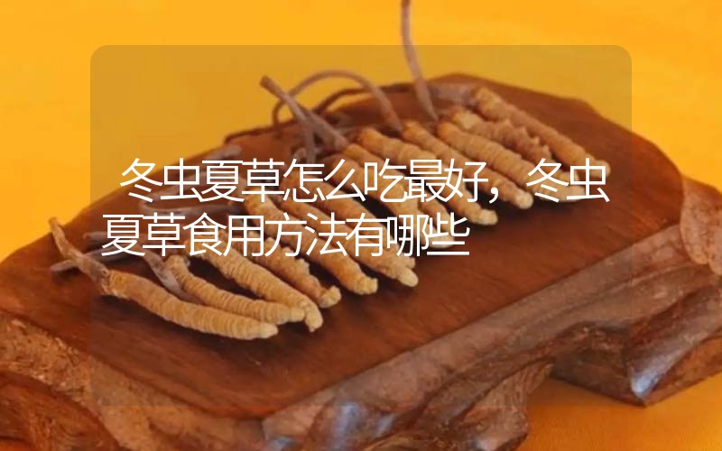冬蟲(chóng)夏草怎么吃最好，冬蟲(chóng)夏草食用方法有哪些