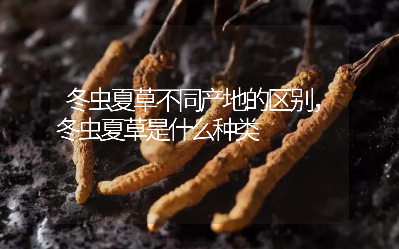 冬蟲夏草不同產(chǎn)地的區(qū)別，冬蟲夏草是什么種類