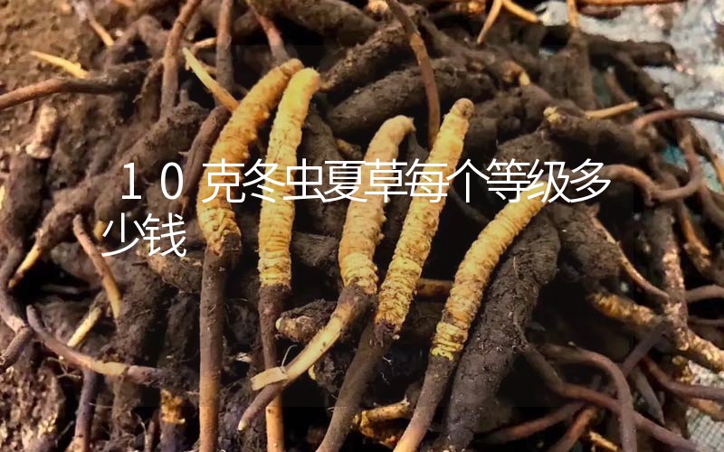 10克冬蟲夏草每個(gè)等級(jí)多少錢？