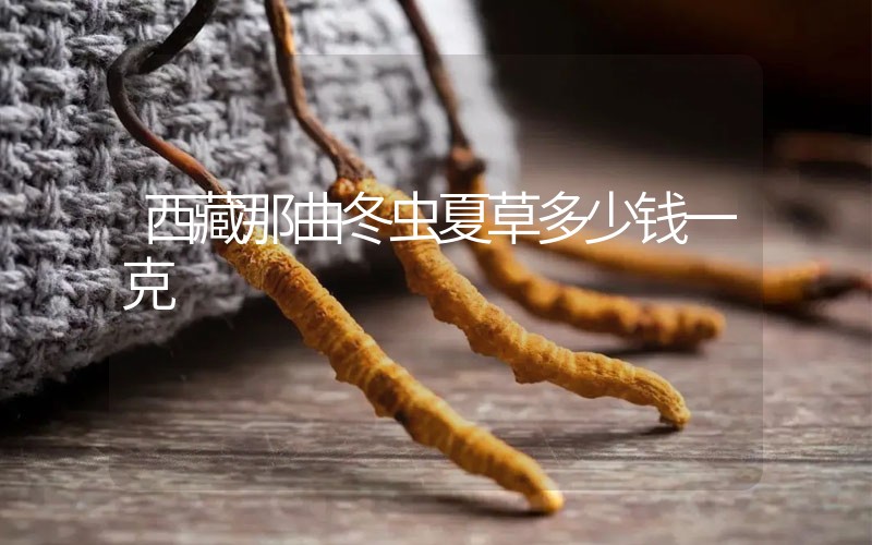 西藏那曲冬蟲夏草多少錢一克？