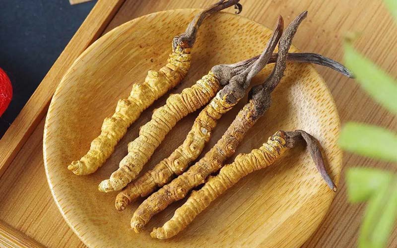 冬蟲夏草作用可以調(diào)節(jié)身體肝臟功能嗎？