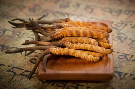 蟲(chóng)草就是冬蟲(chóng)夏草嗎？有多少人被假蟲(chóng)草忽悠