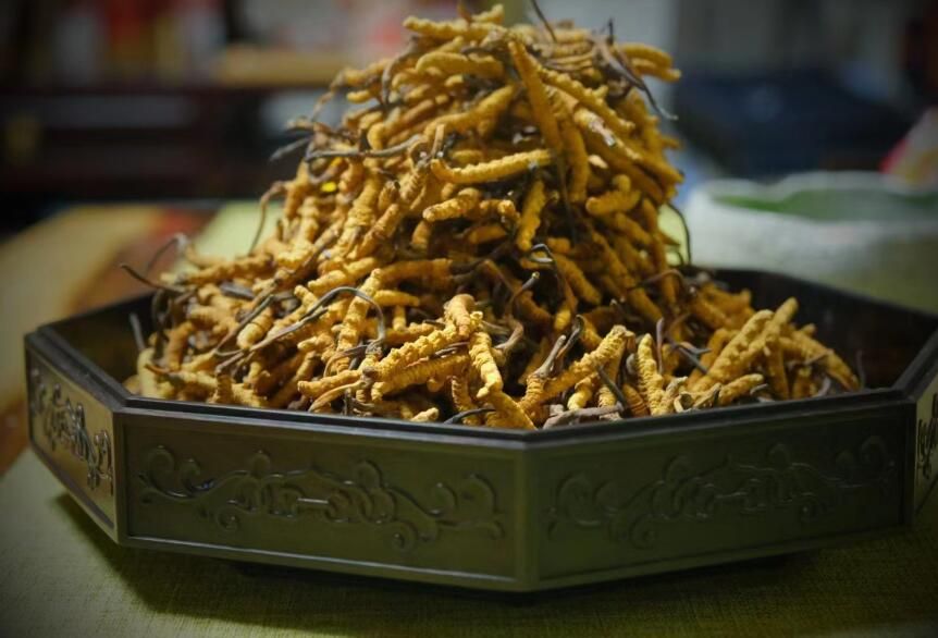 <a href=http://m.cw298.com/ target=_blank class=infotextkey>冬蟲夏草</a>