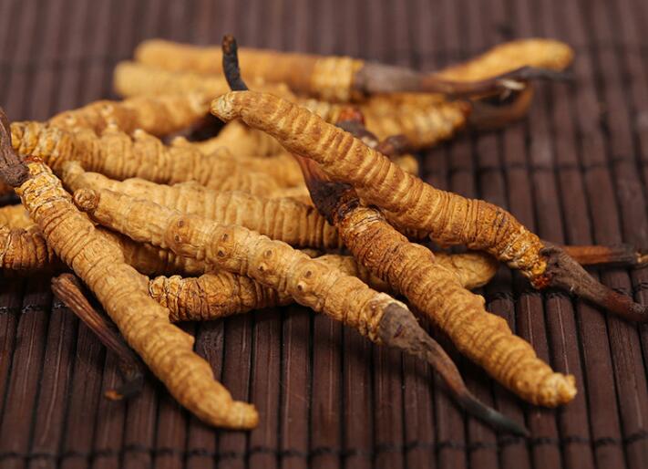 什么樣的冬蟲(chóng)夏草算是優(yōu)質(zhì)的？