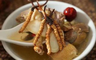 孕婦能吃冬蟲(chóng)夏草嗎