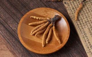 冬蟲夏草為何在高海拔地區(qū)才能生長(zhǎng)？