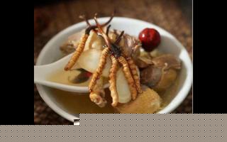 冬蟲夏草鴿子湯的食譜和煮湯技巧