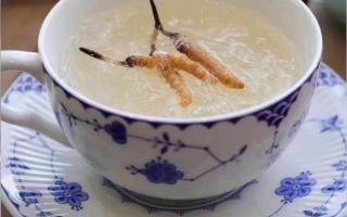 新鮮冬蟲夏草如何煮茶喝？