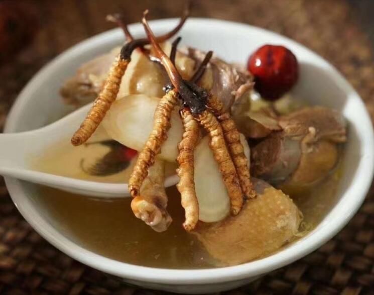 冬蟲夏草可以空腹吃嗎？