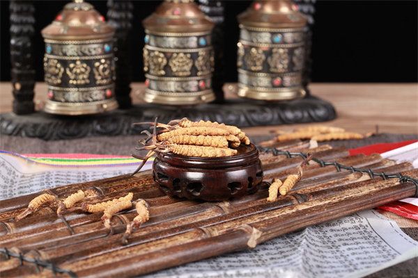 冬蟲夏草和長(zhǎng)香玉香瓜搭配的吃法