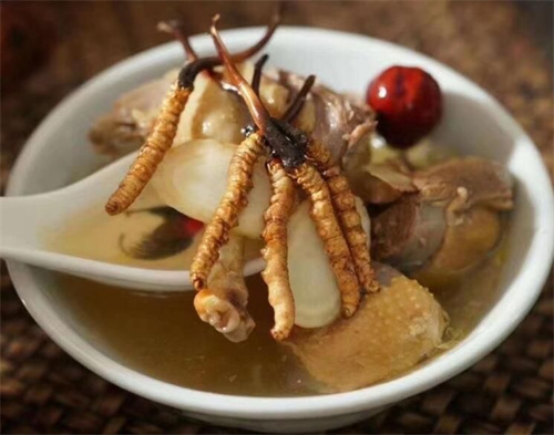 小孩子可以吃冬蟲夏草嗎？