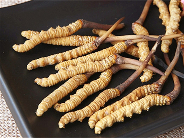 真的冬蟲夏草什么價格？影響冬蟲夏草價格波動的3個關(guān)鍵因素