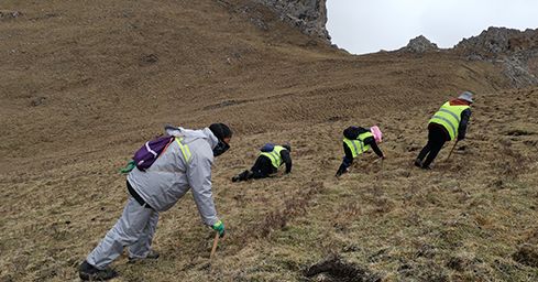 <a href=http://m.cw298.com/sdph/zf/ target=_blank class=infotextkey>珍峰冬蟲夏草</a>：源自世界屋脊的養(yǎng)生瑰寶