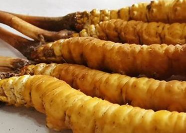 <a href=http://m.cw298.com/sdph/zf/ target=_blank class=infotextkey>珍峰冬蟲夏草</a>主要的銷售模式