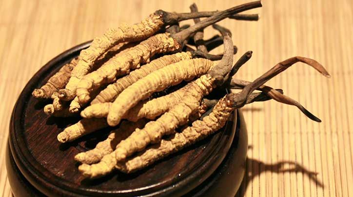 冬蟲夏草的價(jià)格一克：為何如此昂貴？