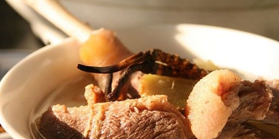 冬蟲夏草怎么吃？多種食用方法全解析