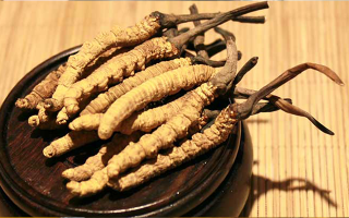 未來(lái)冬蟲夏草會(huì)漲價(jià)嗎？