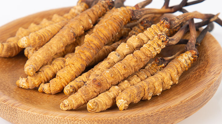 冬蟲夏草王價(jià)格探秘