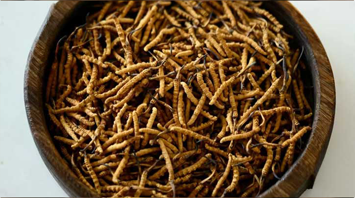 <a href=http://m.cw298.com/jiage/ target=_blank class=infotextkey>冬蟲夏草價格</a>探秘：多因素交織下的市場行情