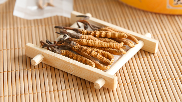 冬蟲夏草一般多少錢一斤？價(jià)格背后的價(jià)值解析