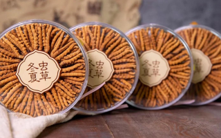 2025年7月冬蟲夏草價格行情公布！蟲草價格降了！