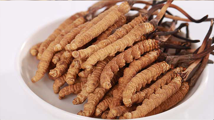 野生鮮<a href=http://m.cw298.com/s/nqcc/ target=_blank class=infotextkey>那曲冬蟲夏草</a>:雪域高原的時(shí)令滋補(bǔ)珍品