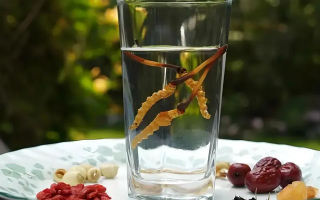 冬蟲夏草泡水會(huì)變大嗎