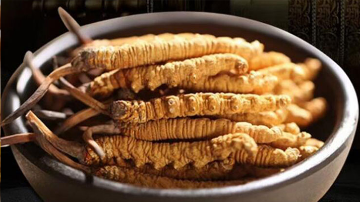 冬蟲(chóng)夏草怎么分辨真假