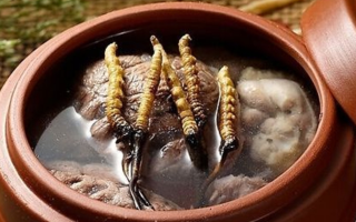 冬蟲(chóng)夏草燉雞能放多久