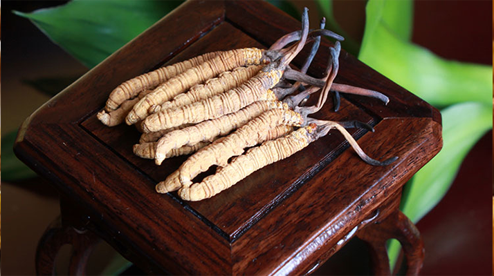 新鮮<a href=http://m.cw298.com/jiage/ target=_blank class=infotextkey>冬蟲夏草的價格</a>一根