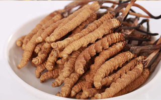 認(rèn)清假冬蟲(chóng)夏草：常見(jiàn)類型、鑒別方法與避坑指南