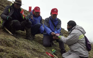 冬蟲夏草：把握最佳采摘季，守護(hù)自然饋贈(zèng)