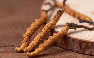 純野生冬蟲(chóng)夏草價(jià)格剖析：多因素交織下的價(jià)值體現(xiàn)