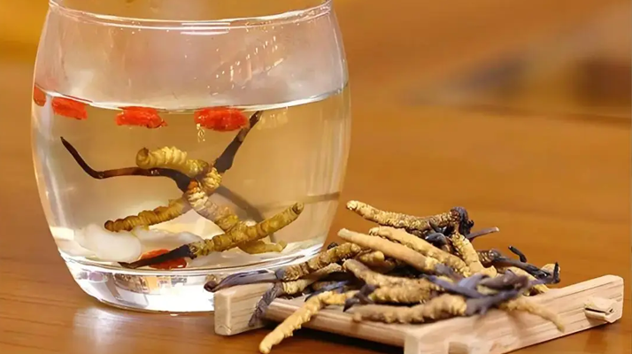 冬蟲(chóng)夏草正確泡法與功效詳解