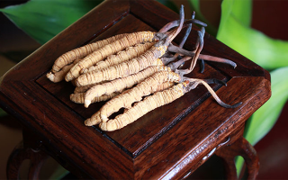 探秘長(zhǎng)期收購(gòu)冬蟲夏草的買家：市場(chǎng)脈絡(luò)中的關(guān)鍵角色