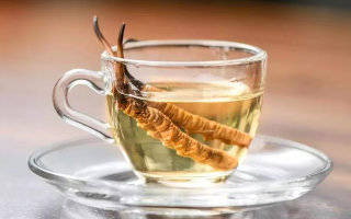 一瓶酒泡多少冬蟲夏草？科學(xué)搭配有講究