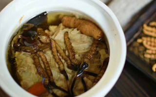 冬蟲夏草正常燉幾分鐘？掌握時長讓滋補(bǔ)更高效