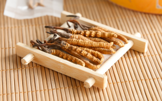 冬蟲夏草怎么燉比較好？解鎖營養(yǎng)不流失的燉煮指南