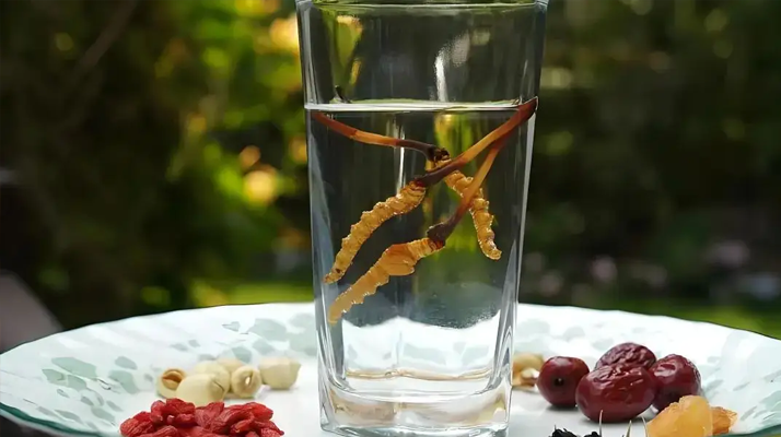 冬蟲夏草能空腹泡水喝嗎 