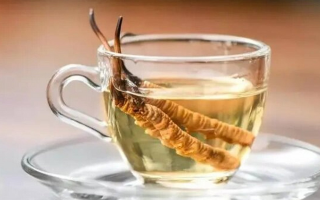 十根冬蟲夏草泡多少酒？科學(xué)配比與實(shí)操指南