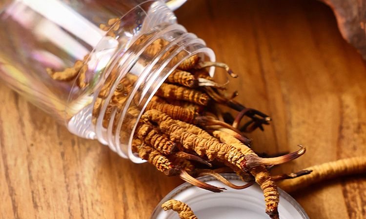 <a href=http://m.cw298.com/jiage/ target=_blank class=infotextkey>冬蟲夏草多少錢</a>一條 