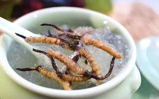 十根冬蟲夏草能泡幾斤酒？泡酒比例與細節(jié)指南