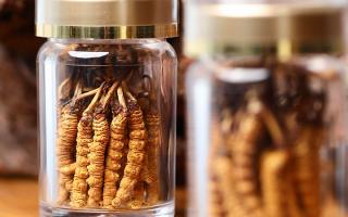 送冬蟲夏草給男孩子好嗎？分場景分析 + 送禮建議