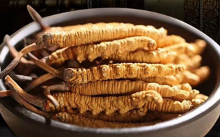 冬蟲夏草掰開后什么樣？從斷面細節(jié)識破品質(zhì)與真?zhèn)?> </div>
            <div   id=