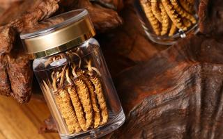 冬蟲夏草養(yǎng)生指南：分清滋補(bǔ)功效，避開養(yǎng)生誤區(qū)