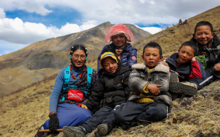 蟲草采挖需要知道的安全常識(shí)