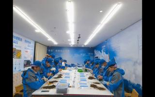 新挖蟲草加工流程的標(biāo)準(zhǔn)化 SOP 文檔