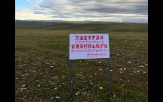 高原之上，蟲草共生；守護(hù)生態(tài)，東強(qiáng)堂與你同行