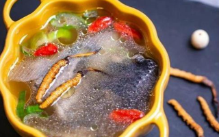 那曲冬蟲夏草辨別全指南｜教你避開市場陷阱，認(rèn)準(zhǔn)正宗珍品