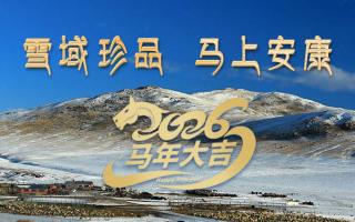 雪域高原藏珍品，2026愿您馬上安康——來自西藏那曲蟲草網(wǎng)的新春祝福